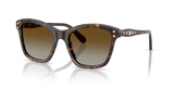 Havana / Polarized Brown Gradient (1002T5)