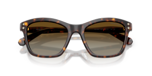 Havana / Polarized Brown Gradient (1002T5)