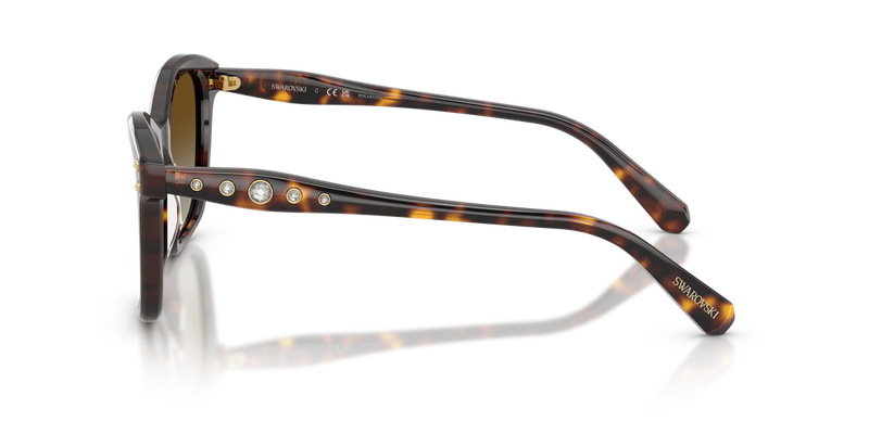 Swarovski SK6063 in Havana / Polarized Brown Gradient (1002T5) - Alternate View