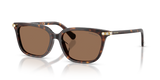 Havana / Dark Brown (100273)