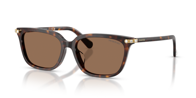 Swarovski SK6064D in Havana / Dark Brown (100273) - Front View