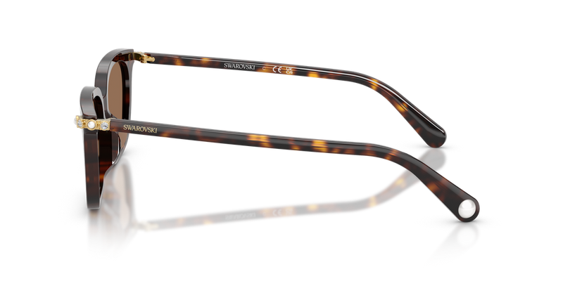 Swarovski SK6064D in Havana / Dark Brown (100273) - Back View
