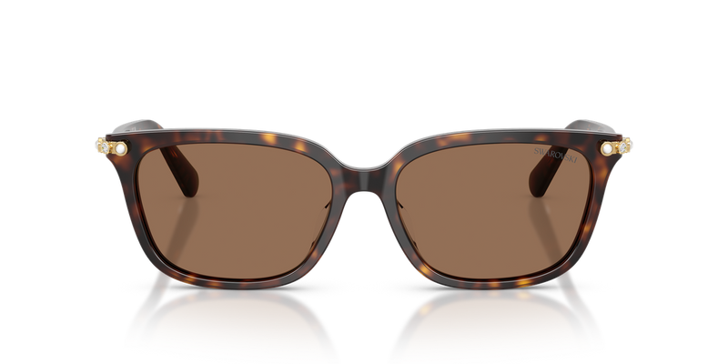 Swarovski SK6064D in Havana / Dark Brown (100273) - Alternate View