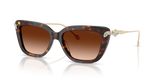 Havana / Gradient Brown (100274)