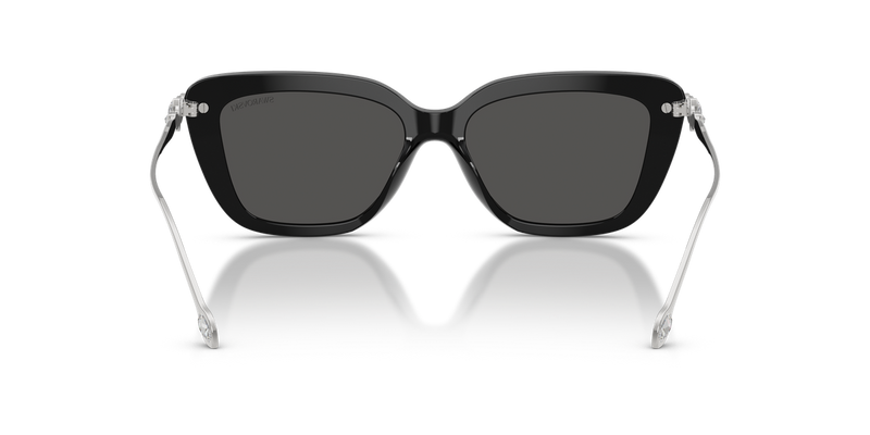 Swarovski SK6065U in Black - Alternate View