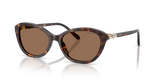 Havana / Dark Brown (100273)