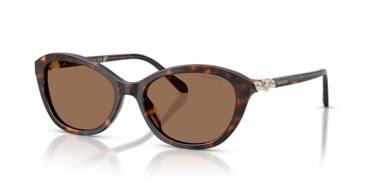 Swarovski SK6066U - Havana / Dark Brown (100273)