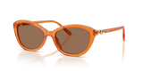 Transparent Orange / Dark Brown (111973)