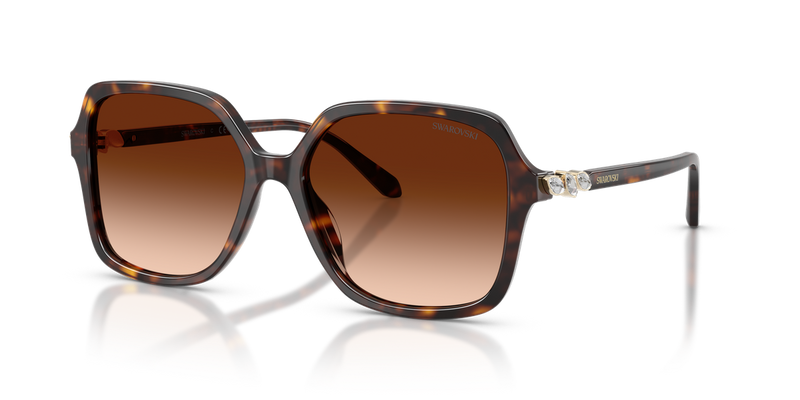 Swarovski SK6067 in Havana - Front View
