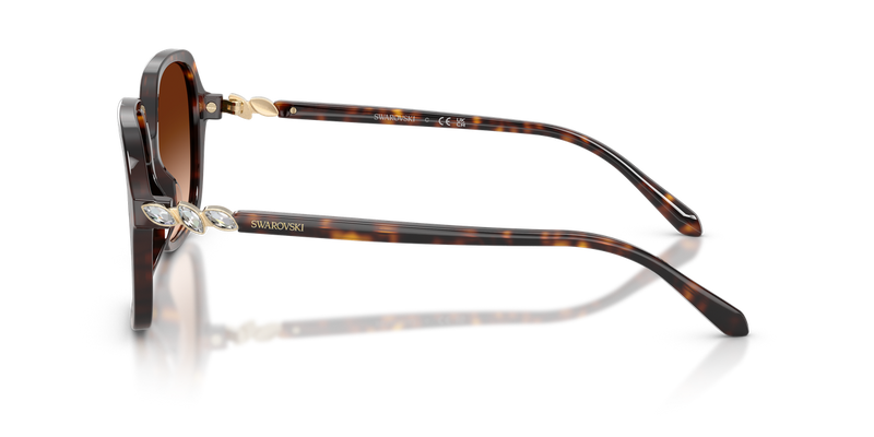 Swarovski SK6067 in Havana - Back View