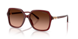 Transparent Burgundy / Pink Gradient Grey (10735M)