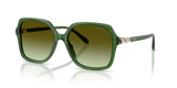 Transparent Green / Green Gradient Brown (1081E8)