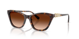 Havana / Gradient Brown (100274)