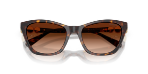 Havana / Gradient Brown (100274)