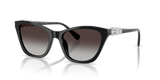 Black / Gradient Grey (10388G)