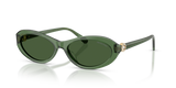 Transparent Green / Dark Green (108571)