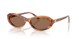 Striped Havana / Dark Brown (109173)