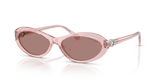 Transparent Pink / Light Brown (110573)