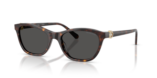 Swarovski SK6070F - Havana / Dark Grey (100287)