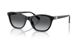 Black / Polarized Grey Gradient (1038T3)