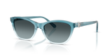 Gradient Transparent Blue / Blue Gradient Grey (1114V1)