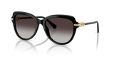Black / Gradient Grey (10018G)