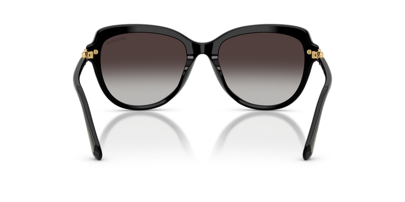 Swarovski SK6073 in Black - Temple Detail