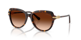 Havana / Gradient Brown (100274)