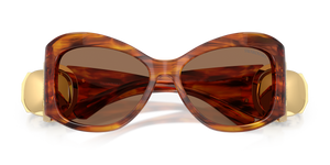 Striped Havana / Dark Brown (109173)