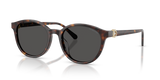 Havana / Dark Grey (100287)