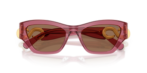 Transparent Dark Cherry / Dark Brown (110773)
