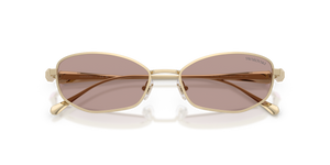 Pale Gold / Light Purple Brown (40137N)