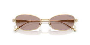 Pale Gold / Light Purple Brown (40467N)