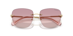 Pale Gold / Brown Gradient Dark Violet (401368)