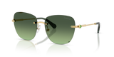 Gold / Gradient Green (40172A)