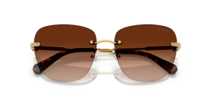 Gold / Gradient Dark Brown (403774)