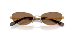 Gold / Dark Brown (400473)