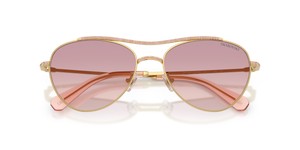Gold / Brown Gradient Dark Violet (400468)