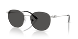 Silver / Dark Grey (400187)