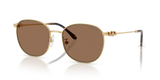 Gold / Dark Brown (403773)
