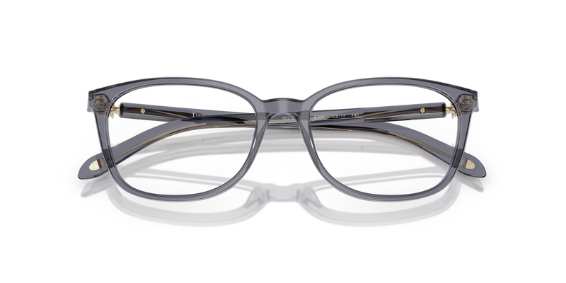 Tiffany TF2109HB in Crystal Dark Violet / Demo Lens (8405) - Alternate View