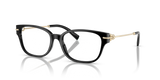 Black / Demo Lens (8001)