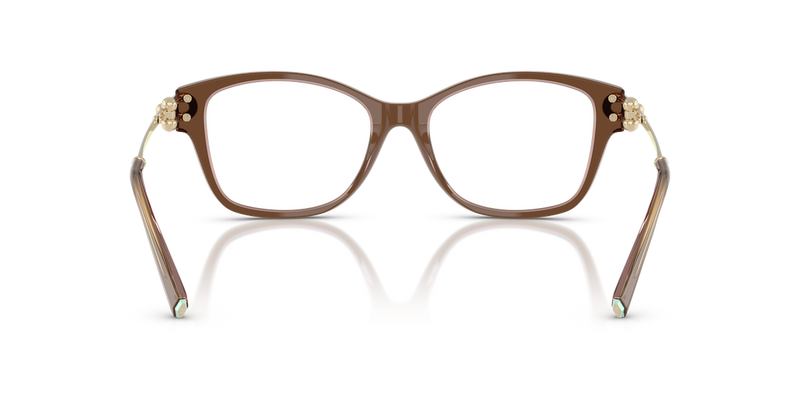 Tiffany TF2266 in Brown Transparent On Pink - Temple Detail