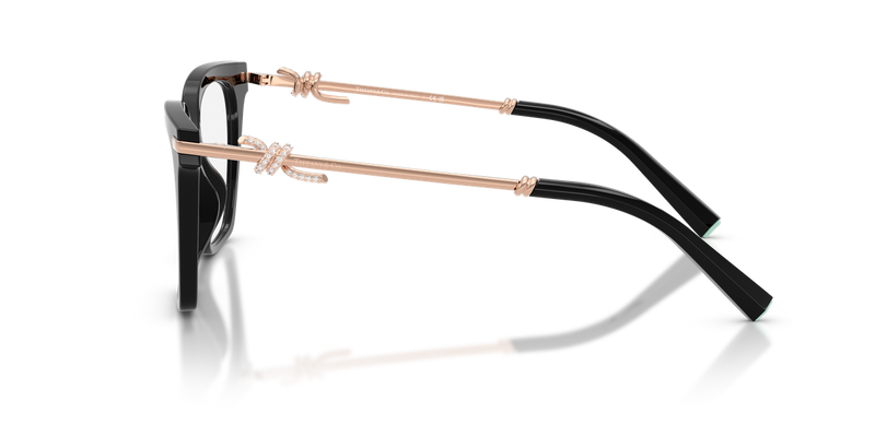 Tiffany TF2284B in Black / Demo Lens (8001) - Back View