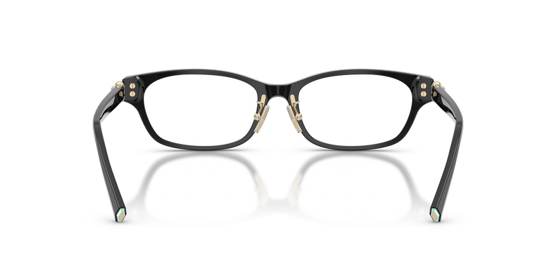 Tiffany TF2291D in Black - Temple Detail