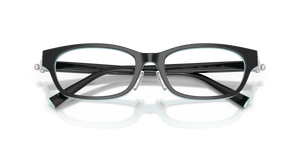 Black On Tiffany Blue / Demo Lens (8055)