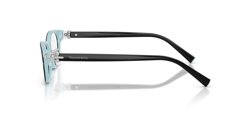 Tiffany TF2291D in Black On Tiffany Blue - Alternate View