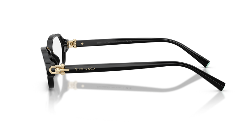 Tiffany TF2293U in Black / Demo Lens (8001) - Alternate View