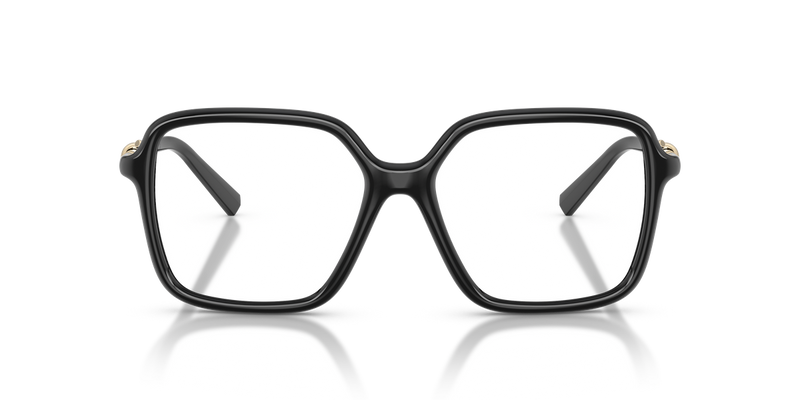 Tiffany TF2295U in Black - Alternate View