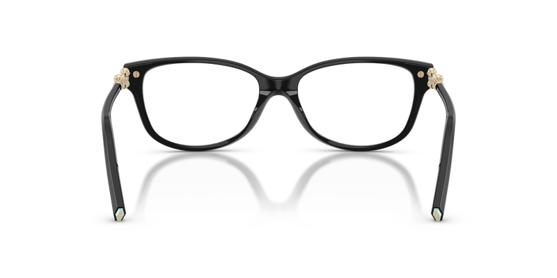 Tiffany TF2298B in Black - Temple Detail